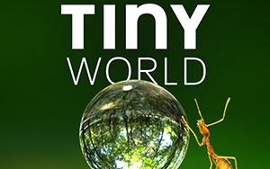 Apple TV`s docuseries narrated by Paul Rudd, `Tiny World`